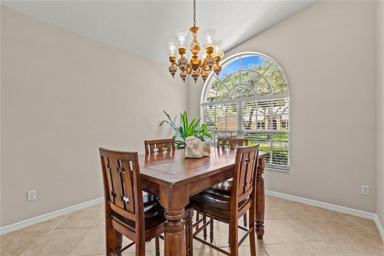 10522 Chambers Drive, Tampa, FL 33626 Photo