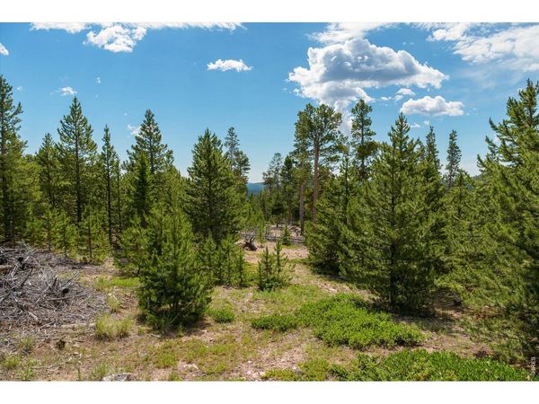 410 Pearl Creek Rd, Red Feather Lakes, CO 80545