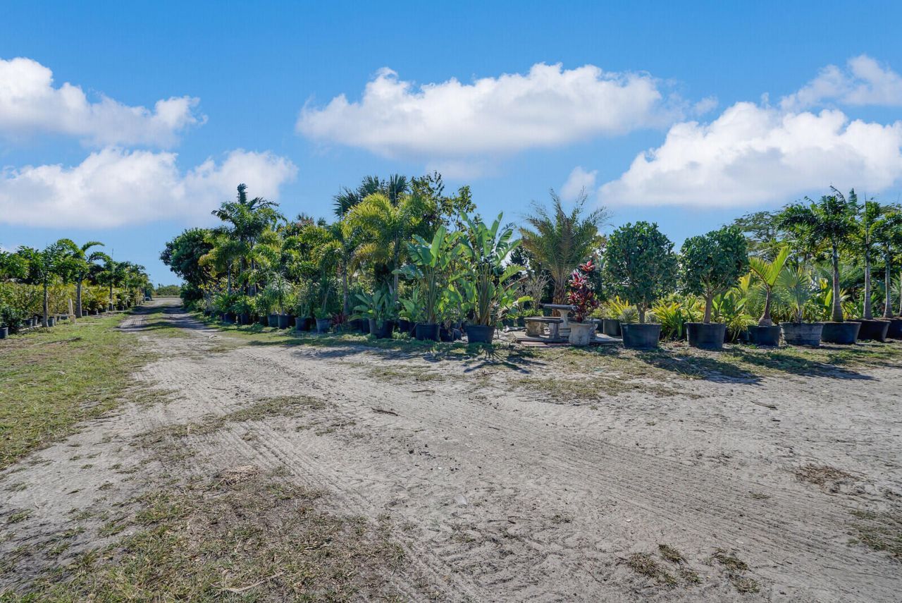 6747 Carol Street, Loxahatchee, FL 33470 Photo