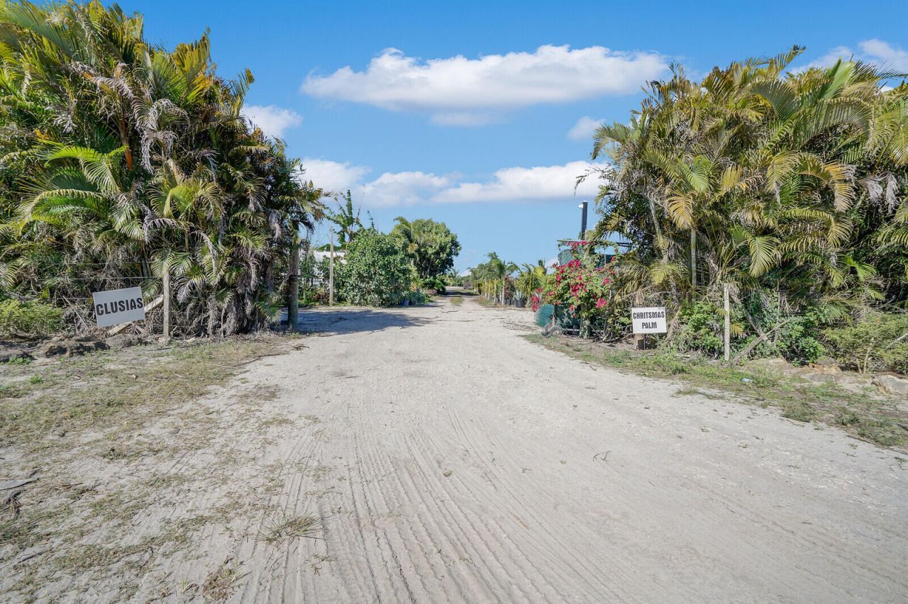 6747 Carol Street, Loxahatchee, FL 33470 Photo