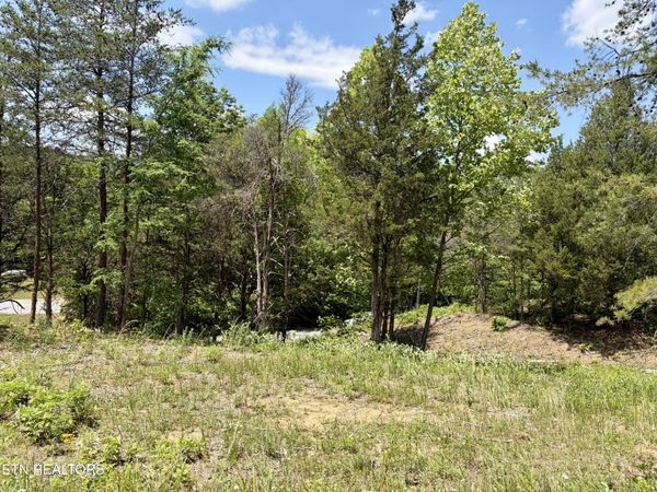 Burchfiel Way, Sevierville, TN 37876