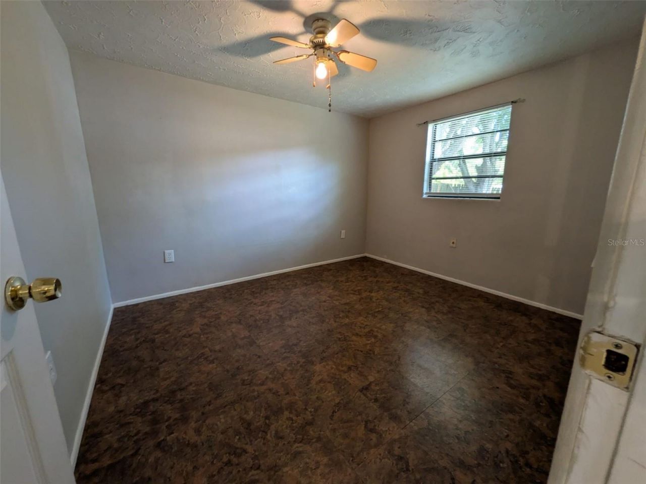 5547 Mallow Street , New Port Richey, FL 34652 Photo