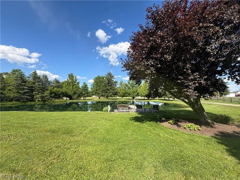 3636 Erhart Road, Litchfield, OH 44253 Photo 24