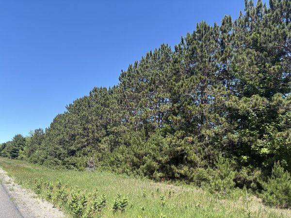 7.91 Acres Butwell Road, Bear Lake, MI 49614