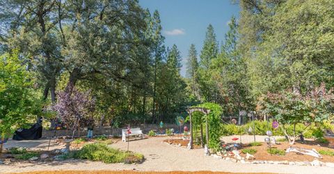 13610 Tony Ct, Pine Grove, CA 95665 Photo