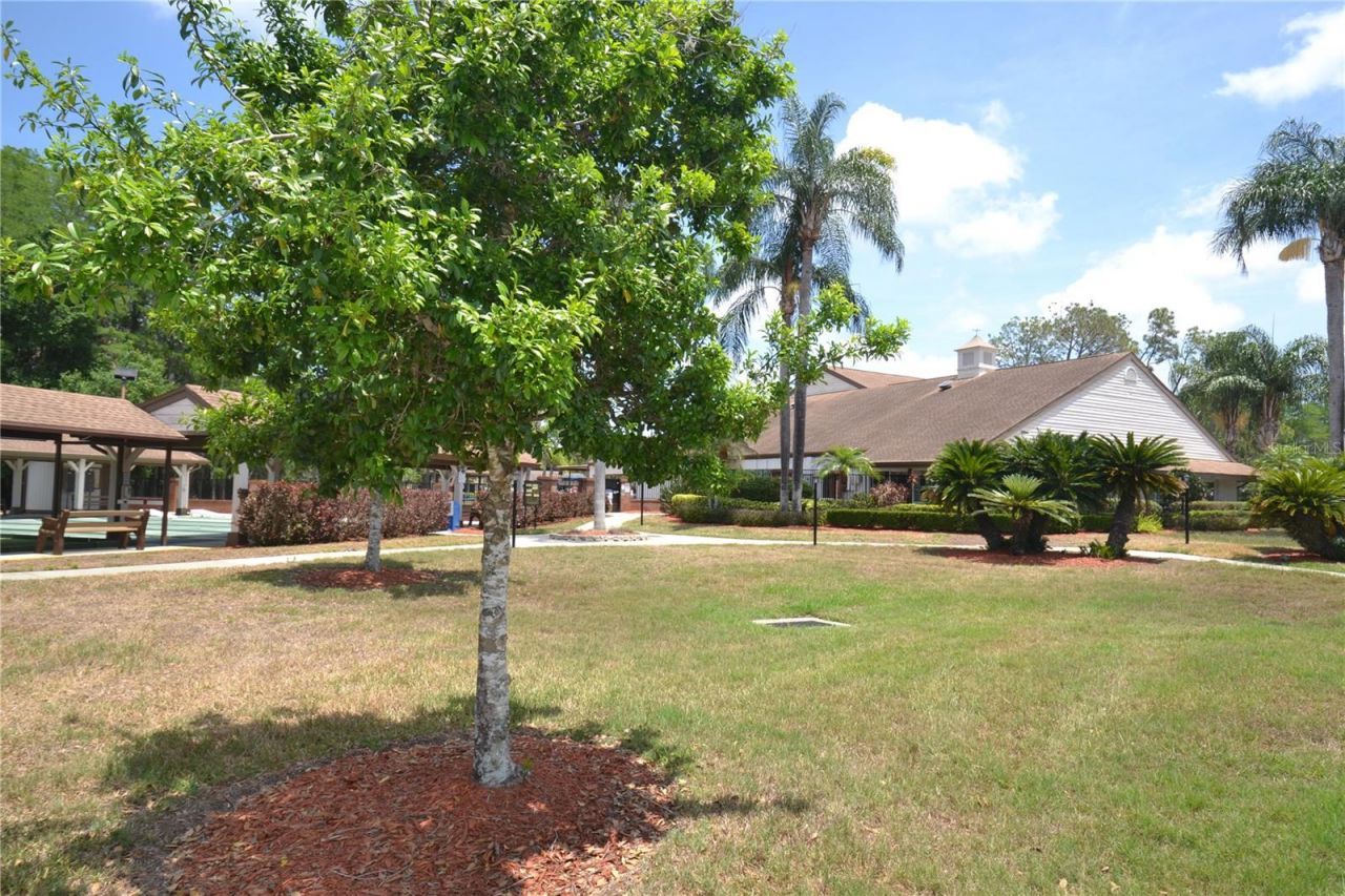 9026 Severn Lane , New Port Richey, FL 34655 Photo