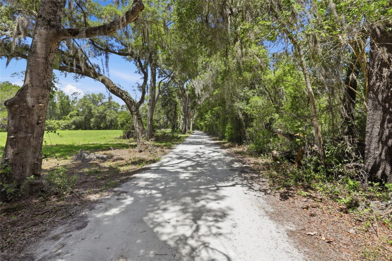 1224 NW 143rd Street, Newberry, FL 32669 Photo
