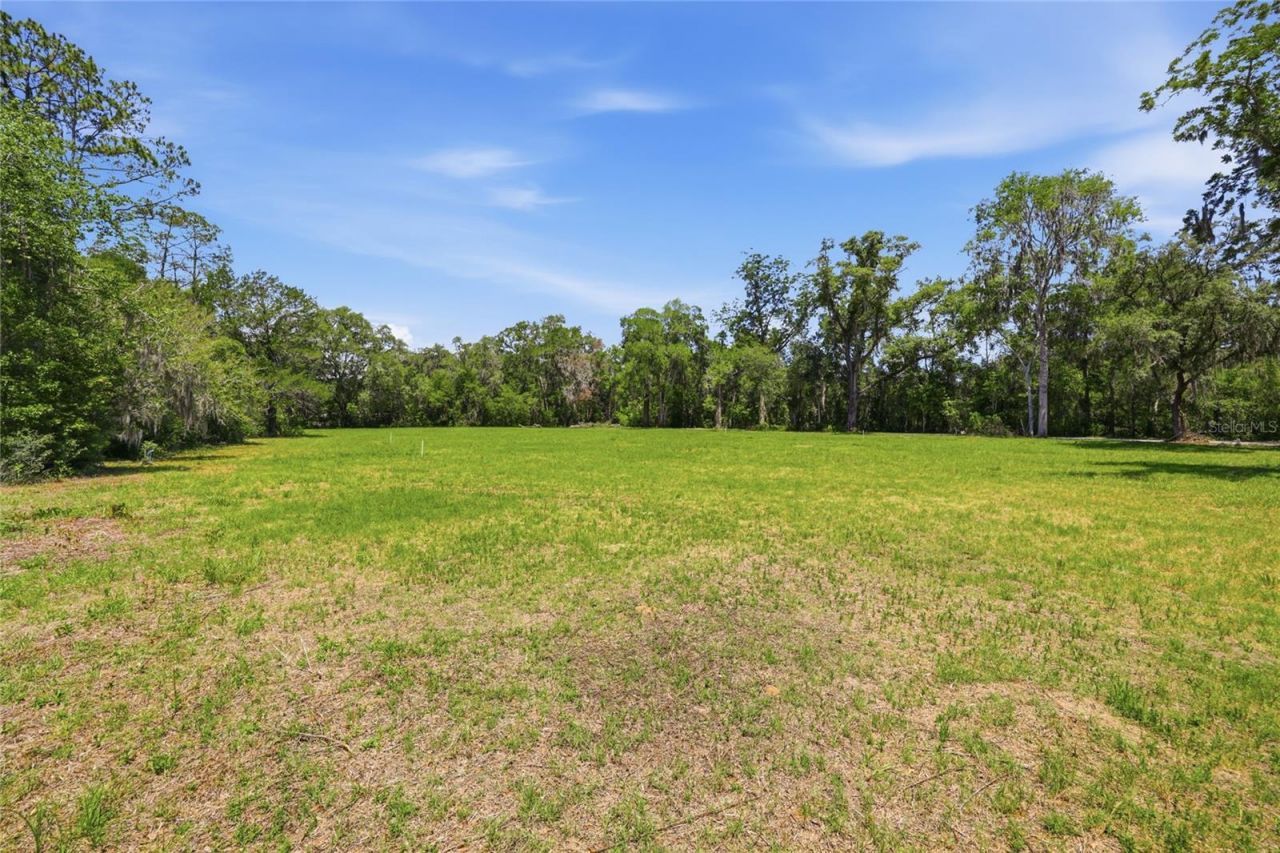 1224 NW 143rd Street, Newberry, FL 32669 Photo