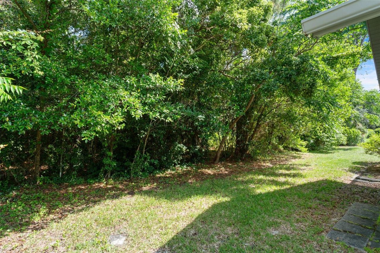 43 Linder Circle , Homosassa, FL 34446 Photo