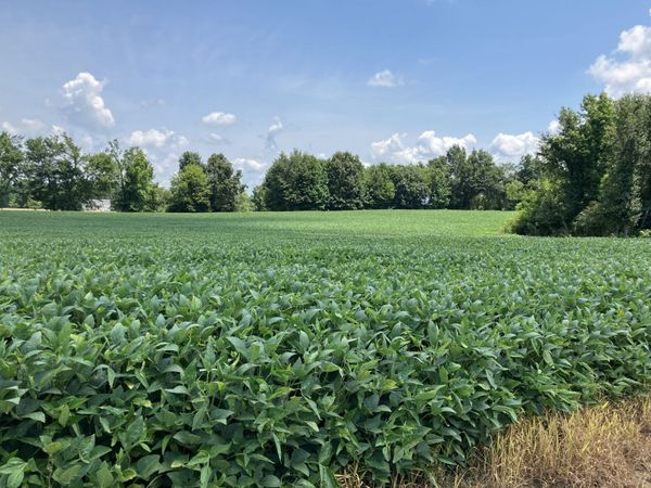 2690 Oak Grove Rd , Savannah, TN 38372