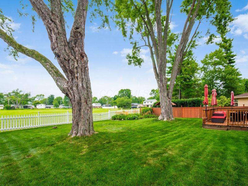 6329 Bellmeadow Drive, Columbus, OH 43229 Photo 53