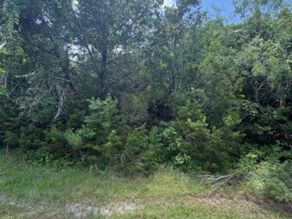 12208 Rolling Oaks Drive , Whitney, TX 76692