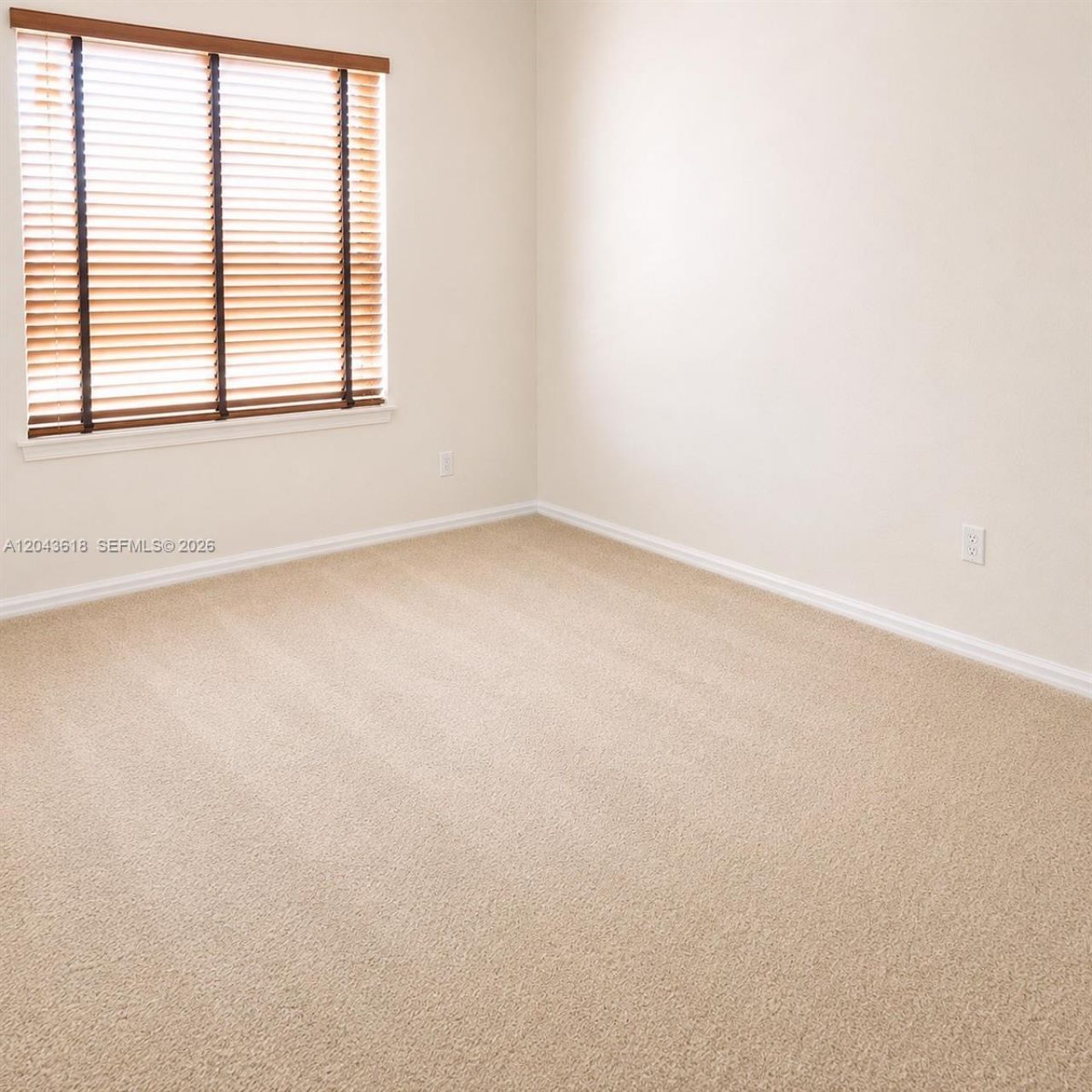 16321 S Fiscus, Spring Hill, FL 34610 Photo