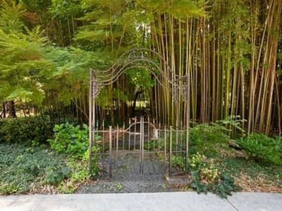 Property Image 58