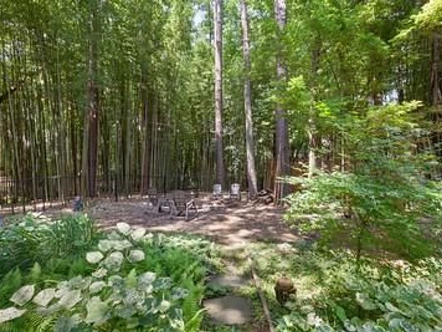 Property Image 59