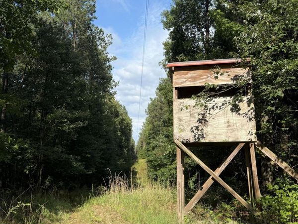 Co Rd 2136 , McCool, MS 39108