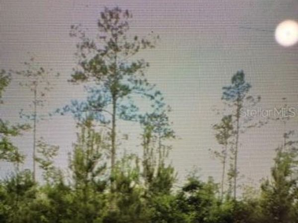COUNTY ROAD 305 , BUNNELL, FL 32110