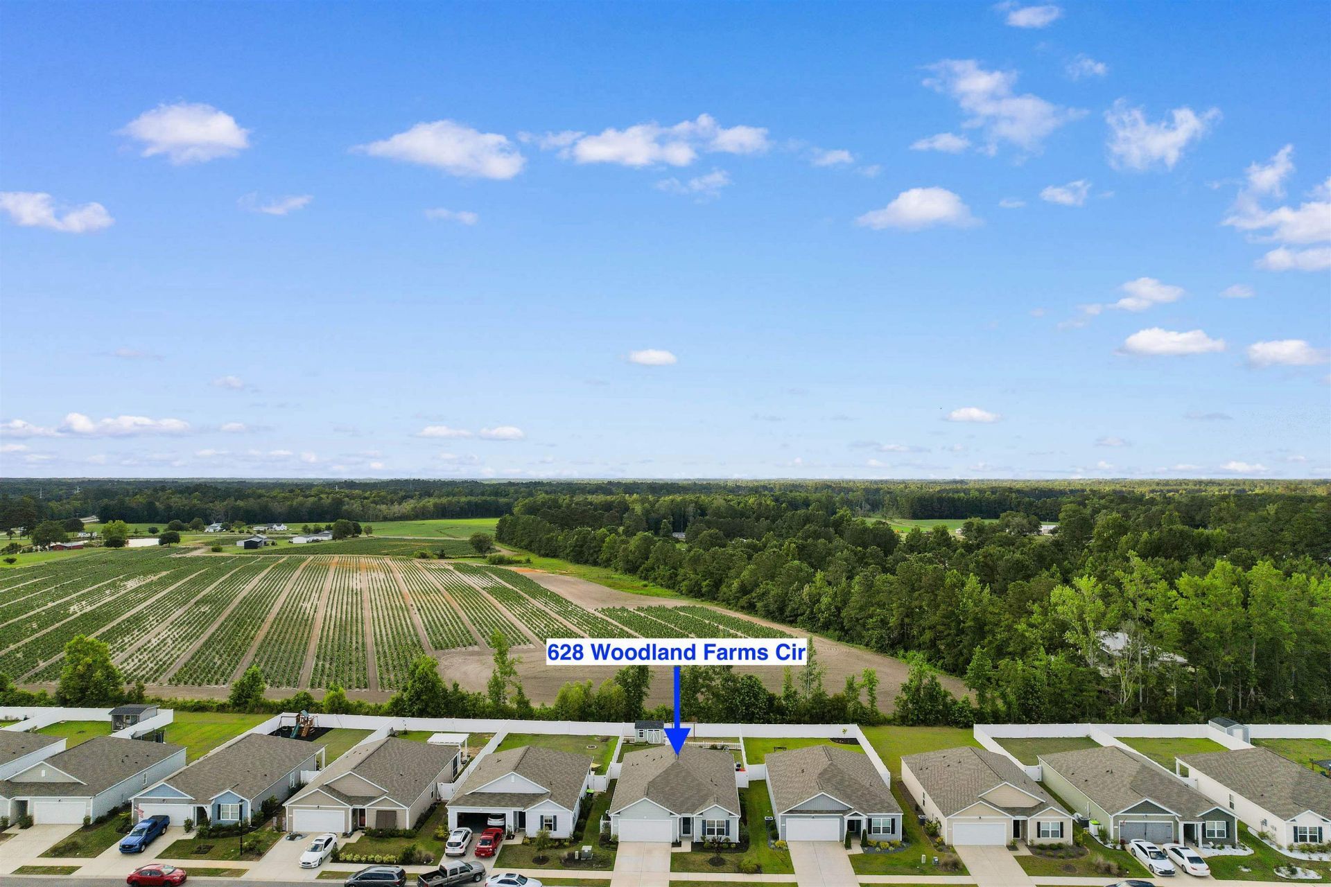 628 Woodland Farms Circle Photo 49