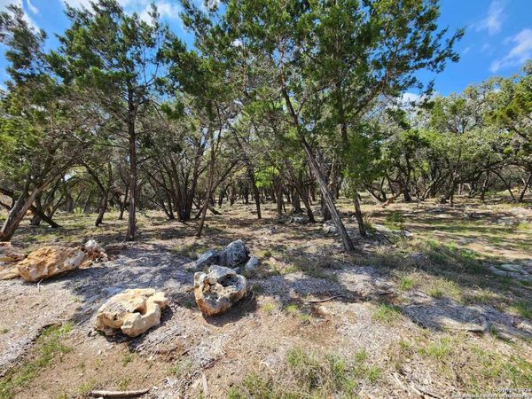LOT 19 Forest Lake Dr, Spring Branch, TX 78070