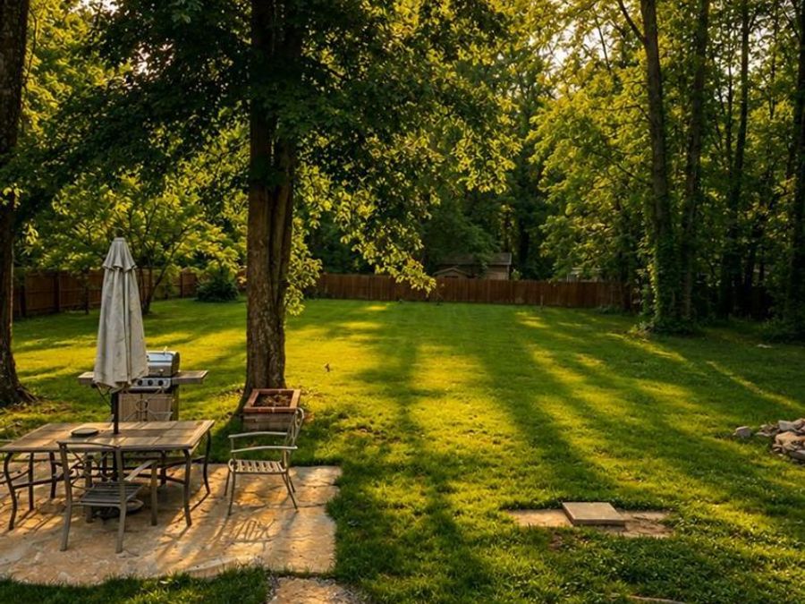 Property Image 26
