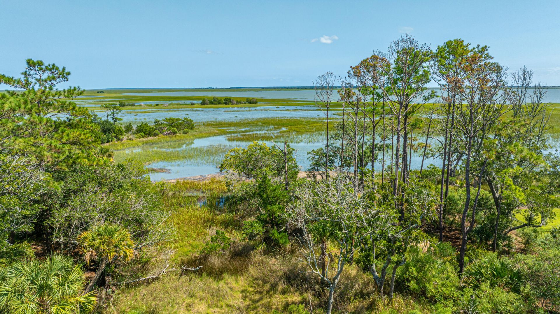 3640 Tidal Flat Circle Photo 53