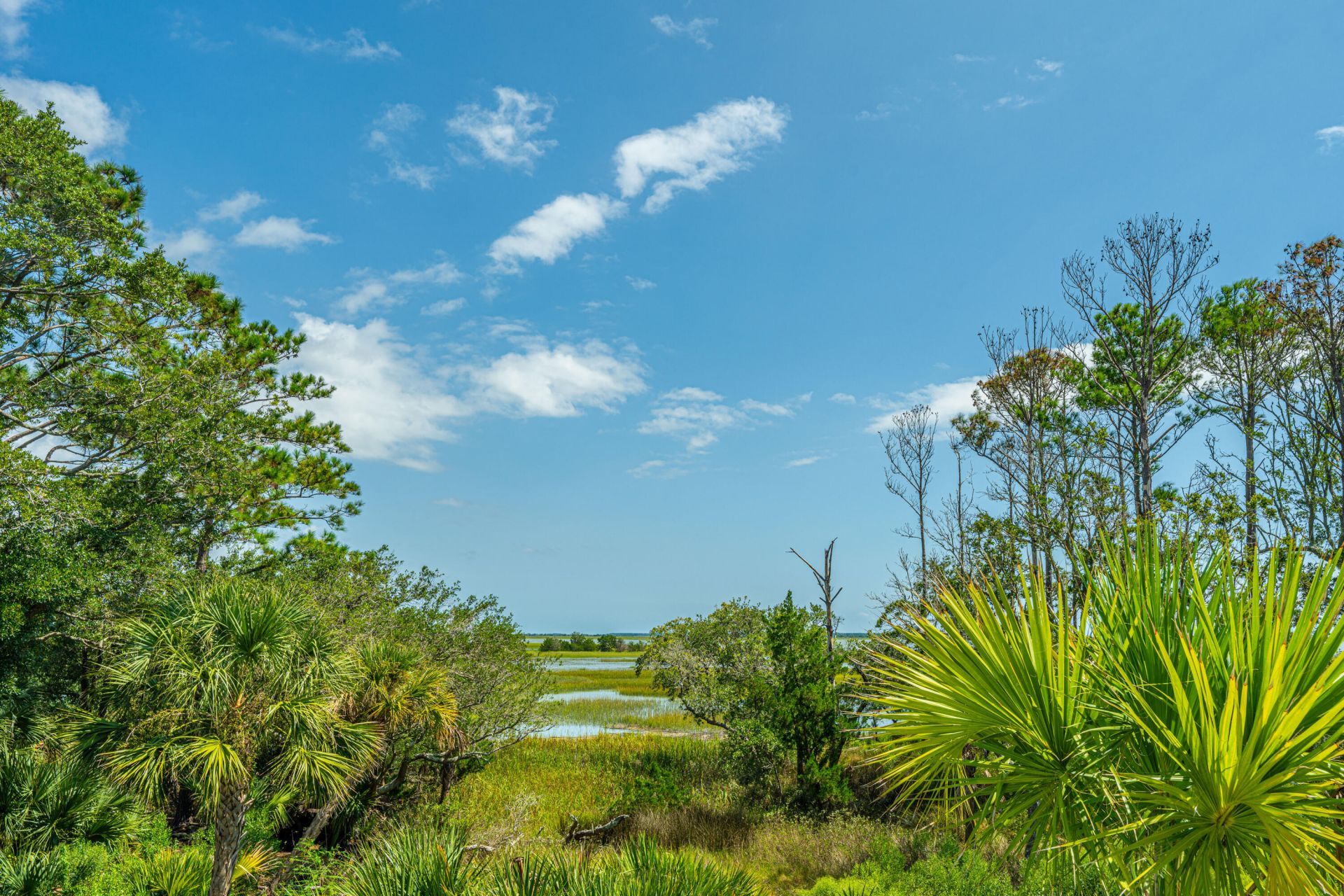 3640 Tidal Flat Circle Photo 59
