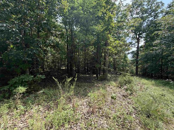 Lot 25 Blackfoot Drive, Cherokee Village, AR 72529