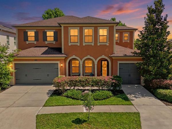 14317 Avon Farms Drive , Tampa, FL 33618