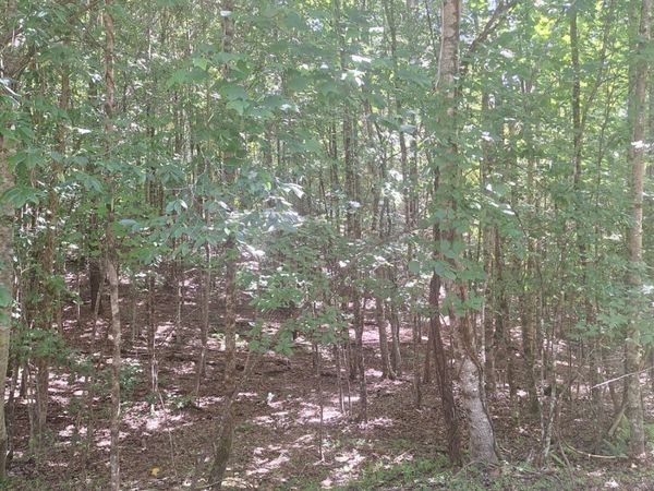 0 Judah Road, Morganton, GA 30560