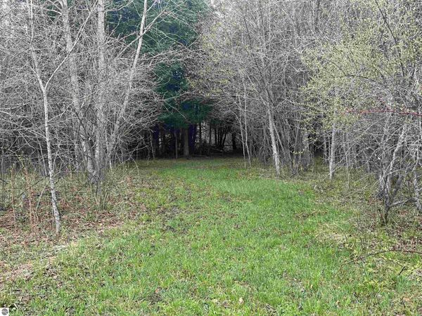 Wallen Road, Thompsonville, MI 49643