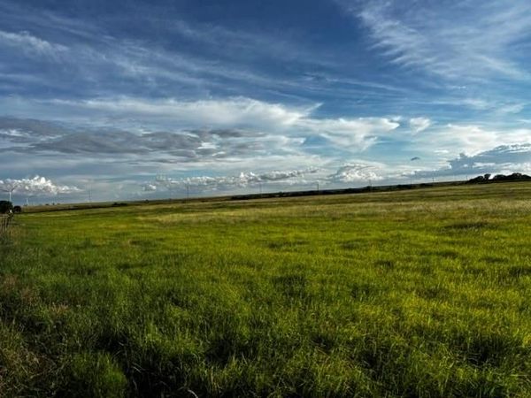 N 1260 Road, Dill City, OK 73641