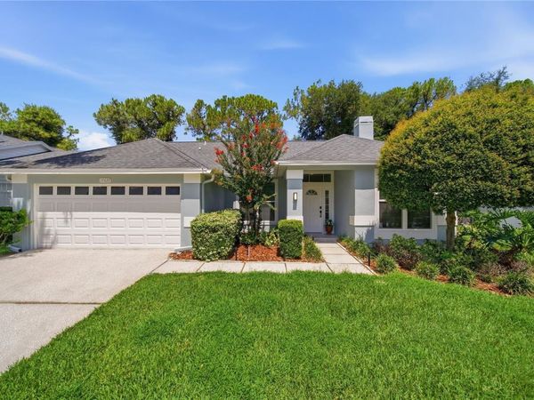 17633 ESPRIT DRIVE , TAMPA, FL 33647