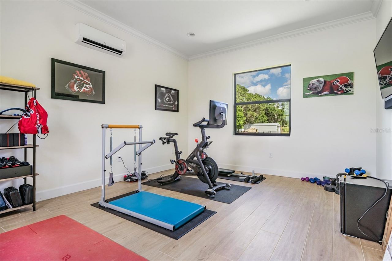 218 Hawk Talon Drive, Lithia, FL 33547 Photo