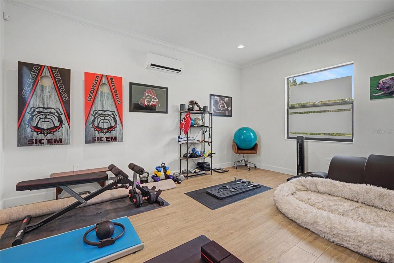 218 Hawk Talon Drive, Lithia, FL 33547 Photo