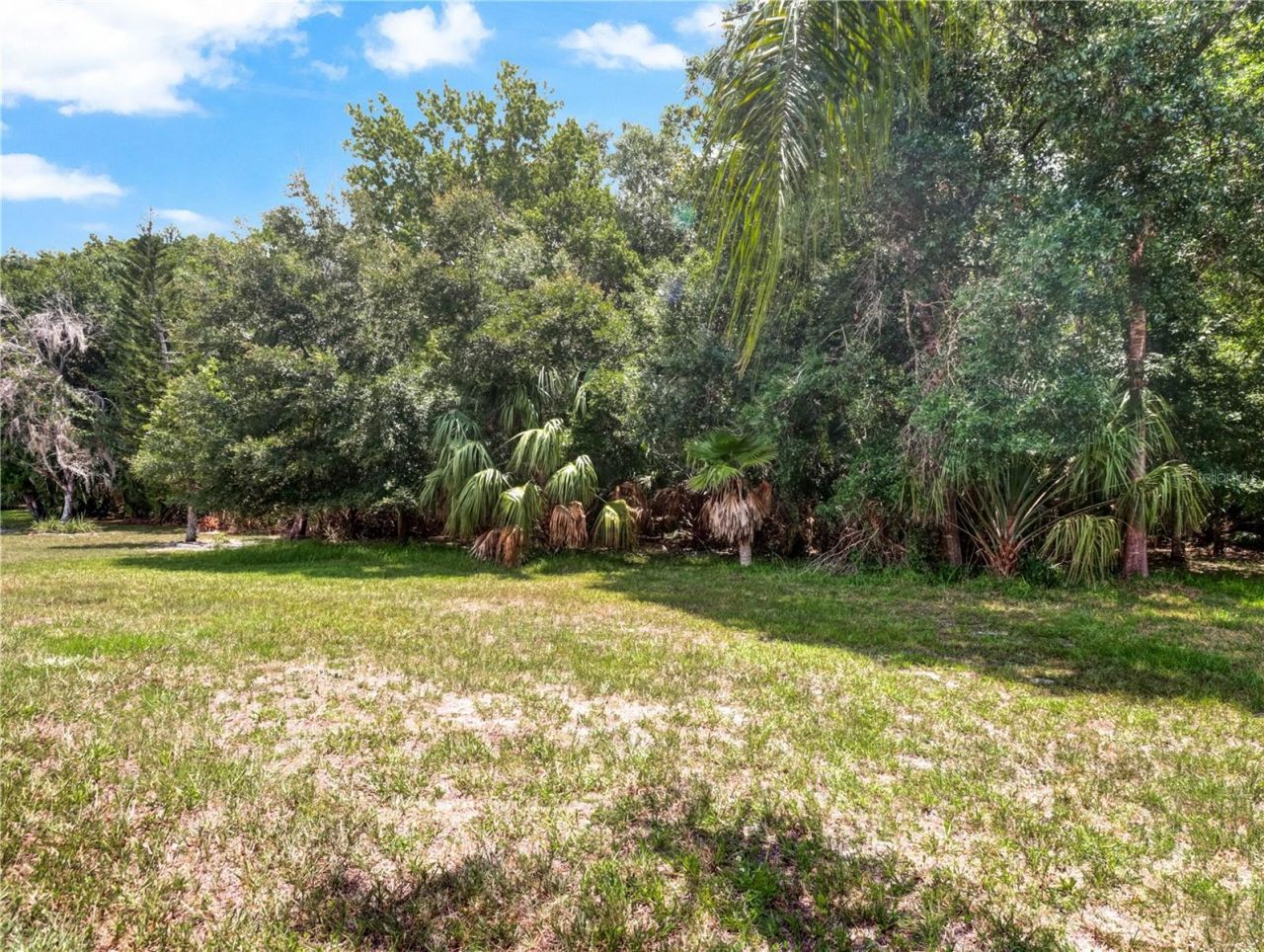12004 Steppingstone Boulevard , Tampa, FL 33635 Photo