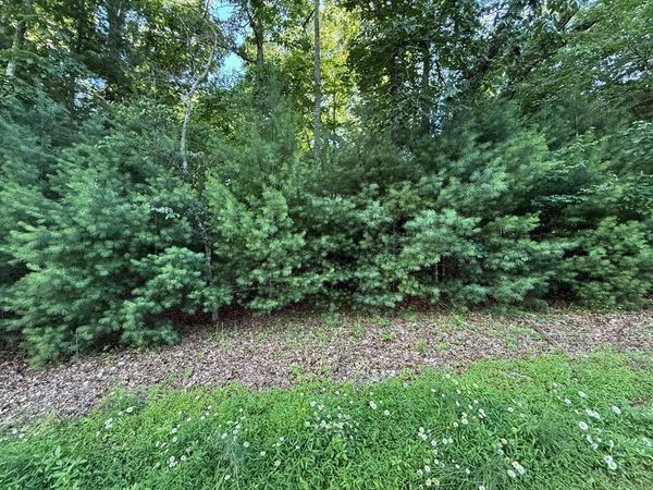 LOT 65 Lennox Point, Blairsville, GA 30512