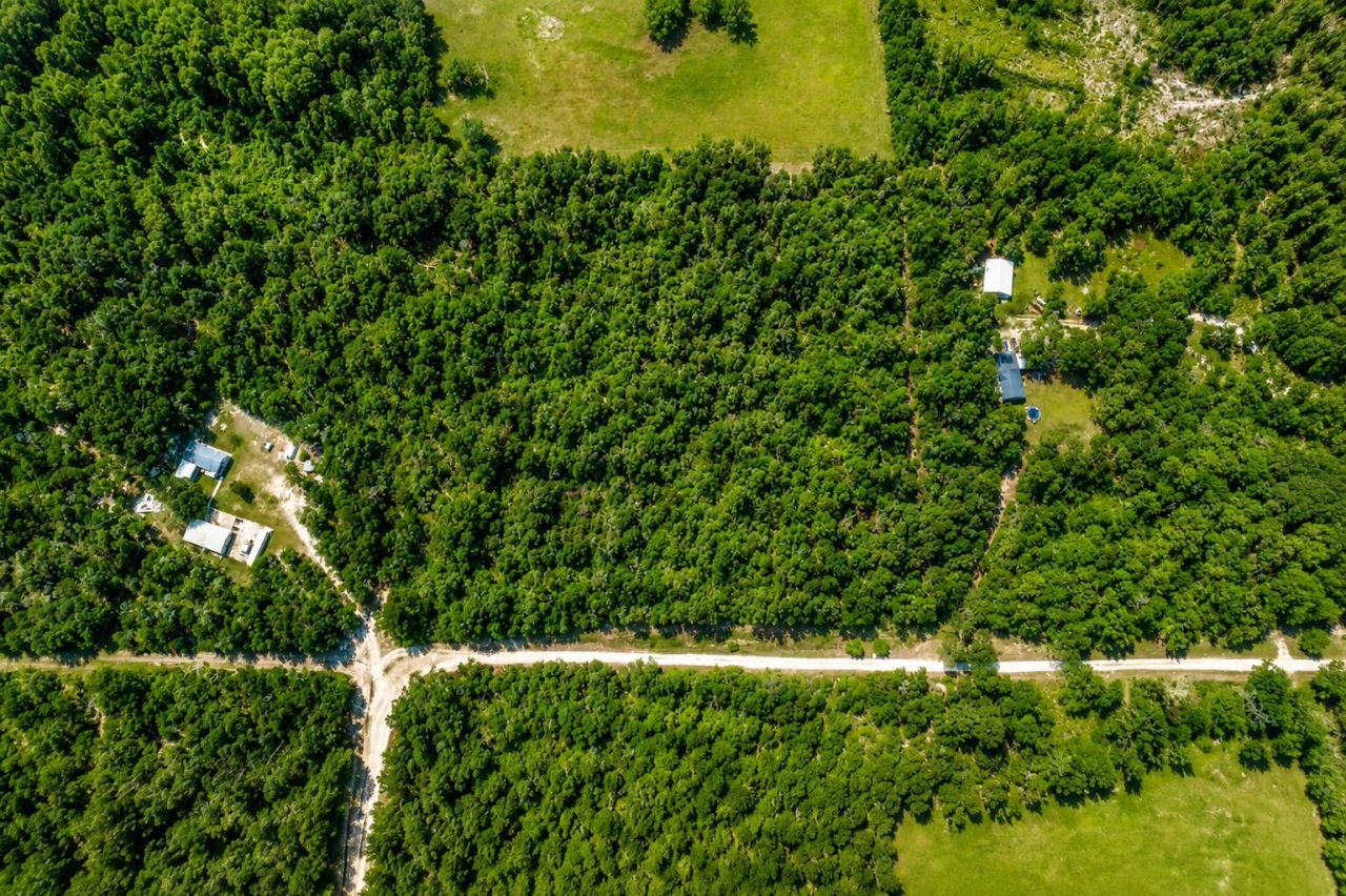 6600 150th Place, Wellborn, FL 32094 Photo