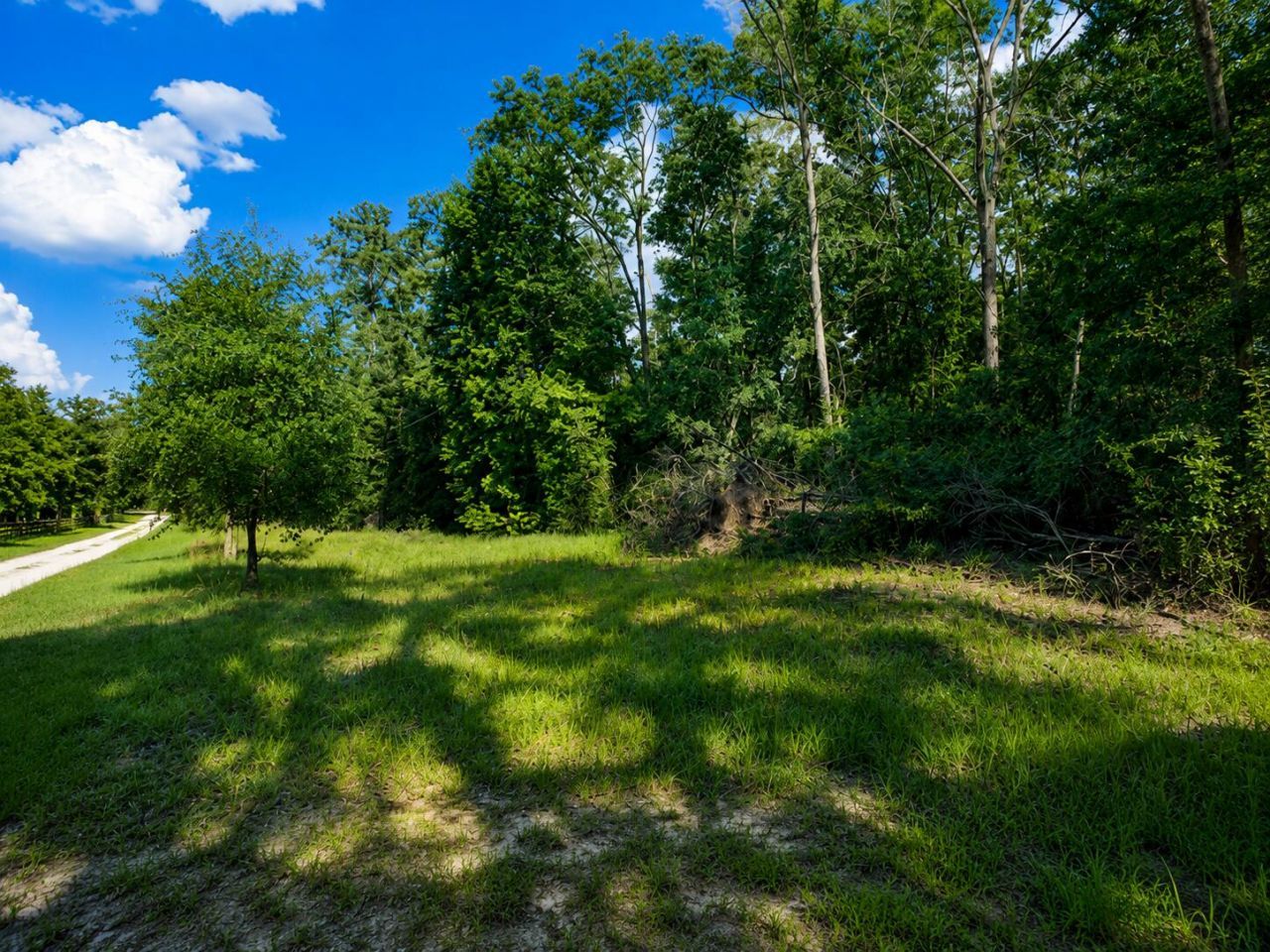 6600 150th Place, Wellborn, FL 32094 Photo