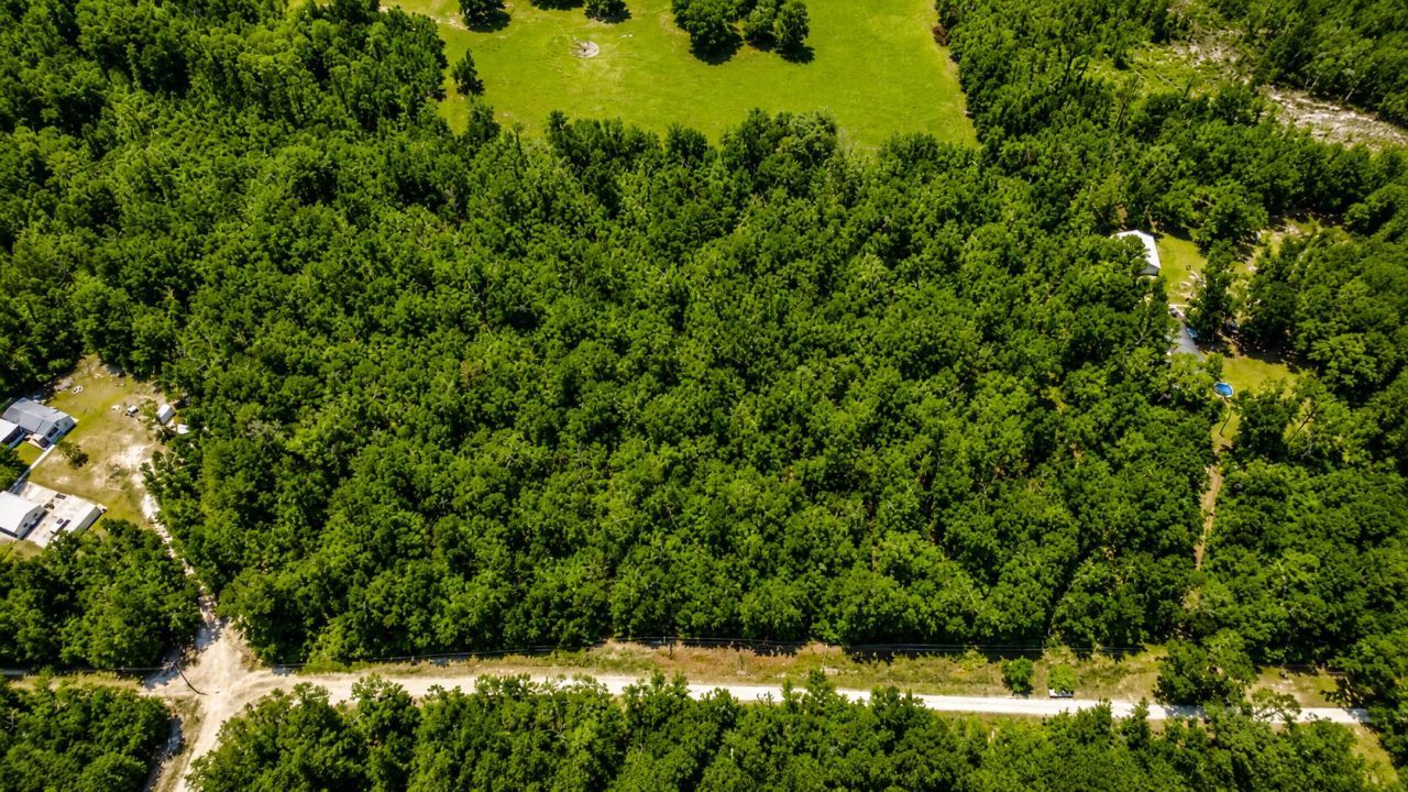 6600 150th Place, Wellborn, FL 32094 Photo