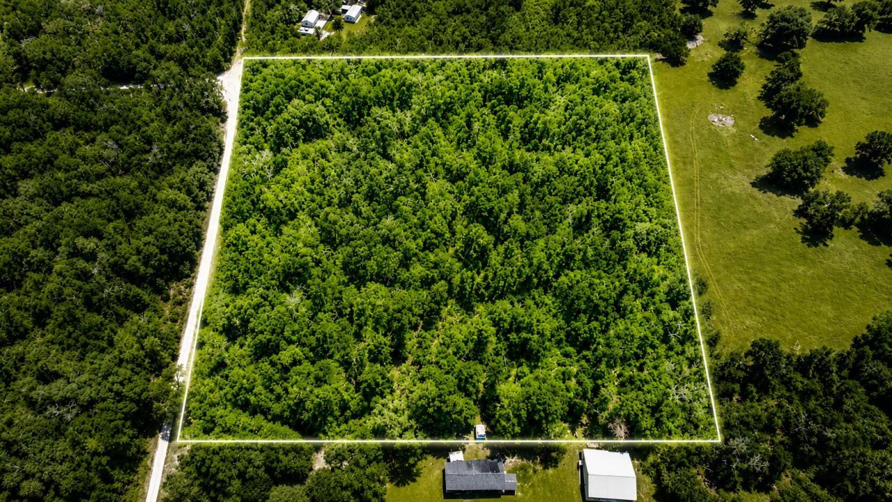 6600 150th Place, Wellborn, FL 32094 Photo
