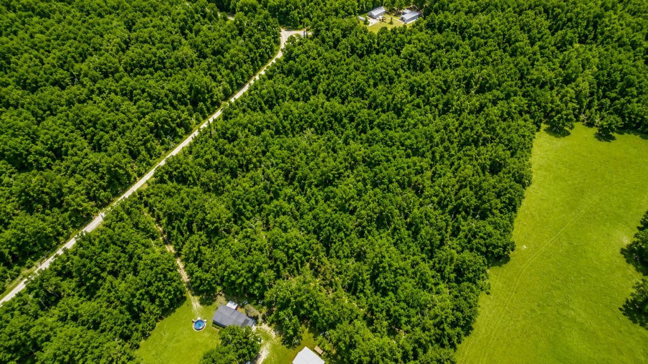 6600 150th Place, Wellborn, FL 32094 Photo