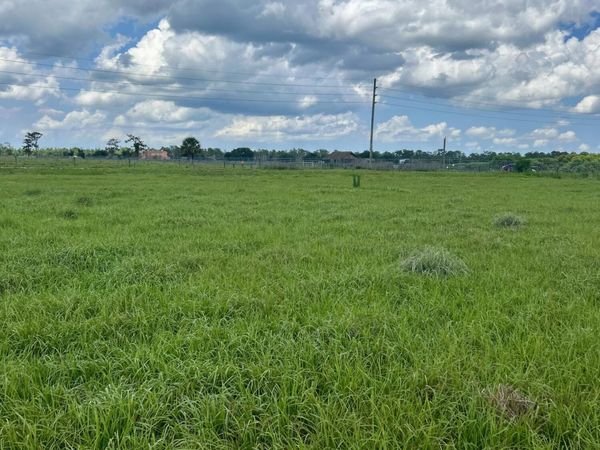 850 NW 344th Street, Okeechobee, FL 34972