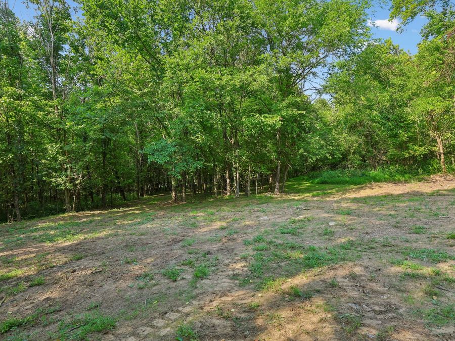 Property Image 74