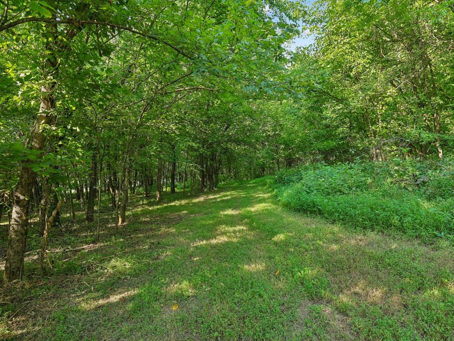 Property Image 76