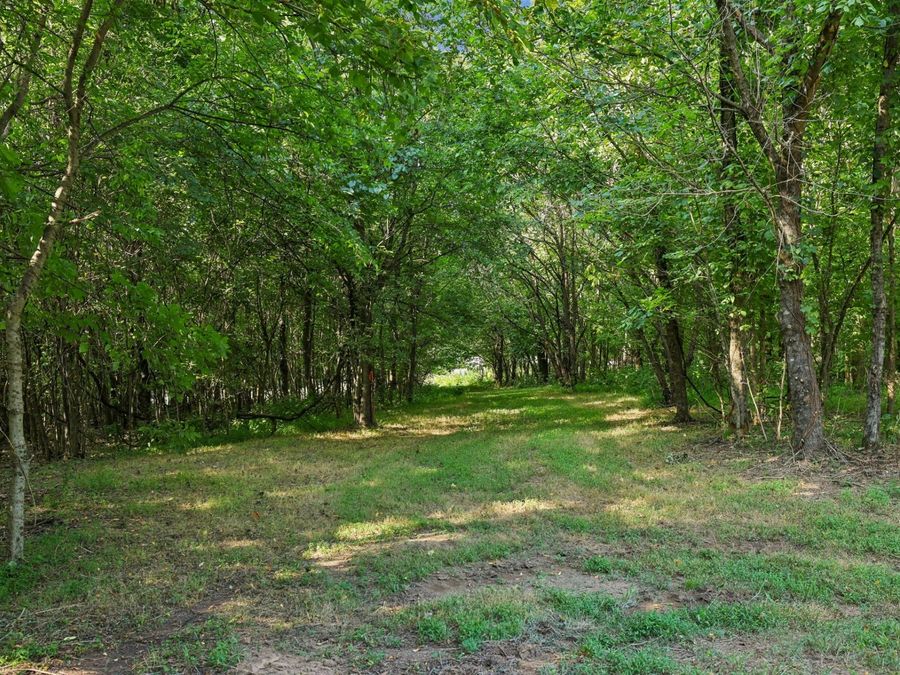 Property Image 85