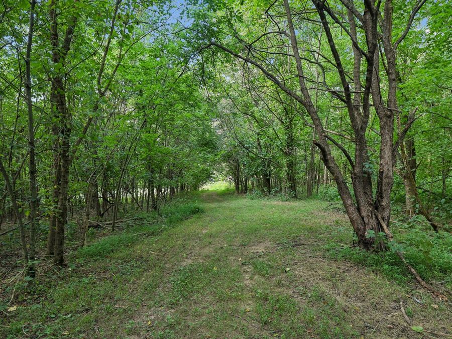 Property Image 87
