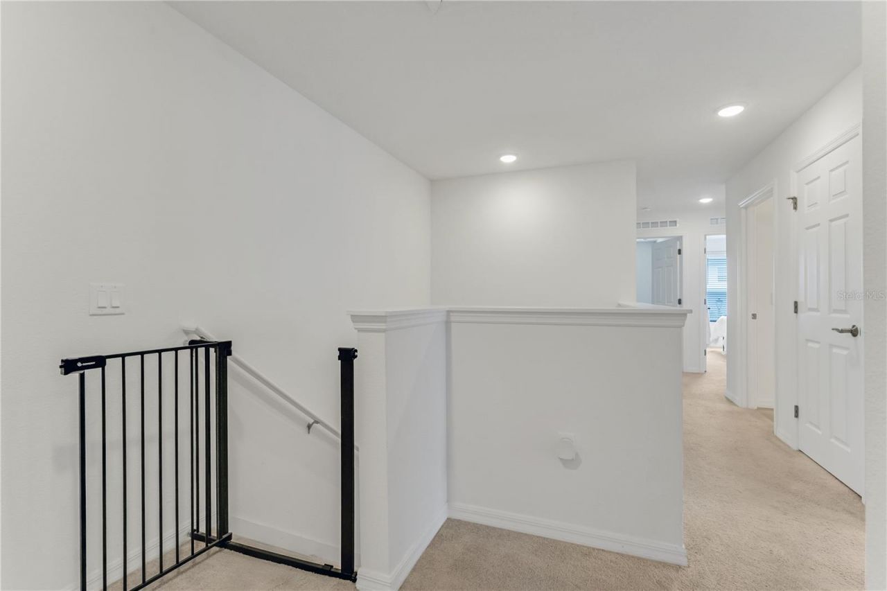 3205 Amaranth Street, Tavares, FL 32778 Photo