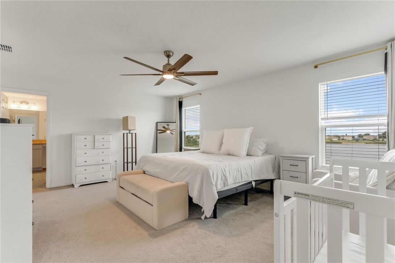 3205 Amaranth Street, Tavares, FL 32778 Photo
