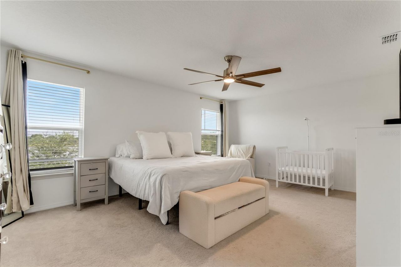 3205 Amaranth Street, Tavares, FL 32778 Photo