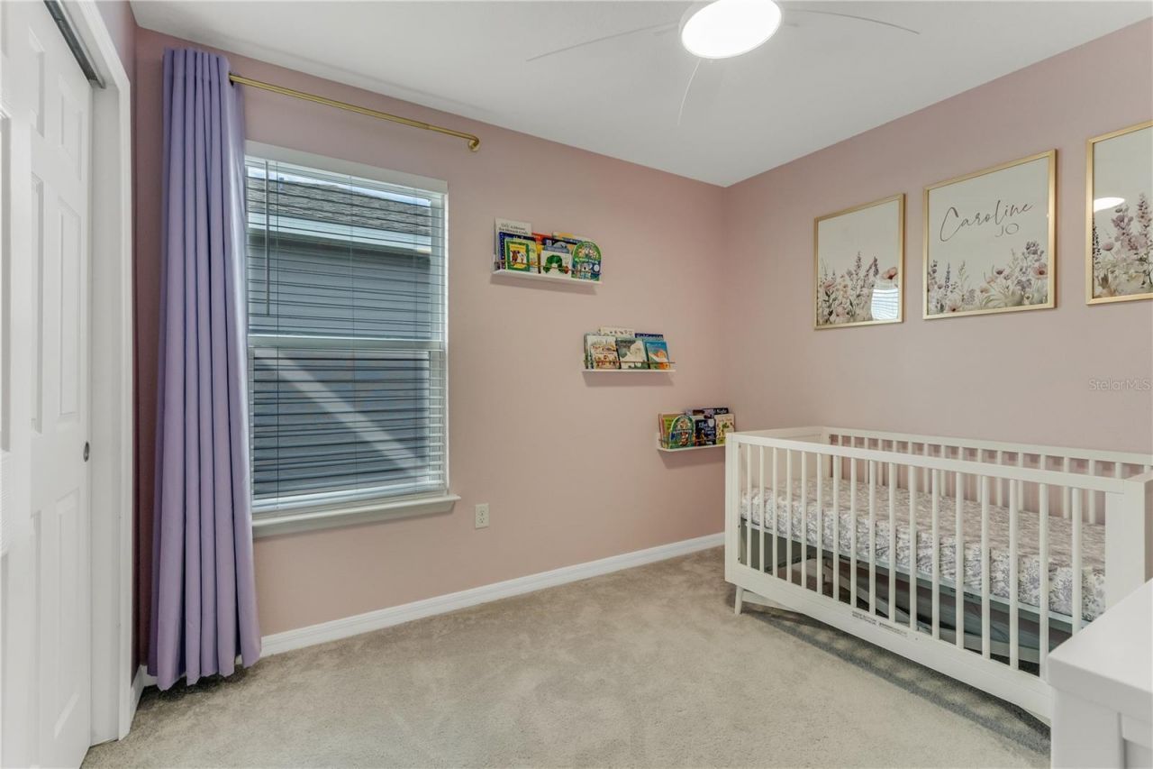 3205 Amaranth Street, Tavares, FL 32778 Photo